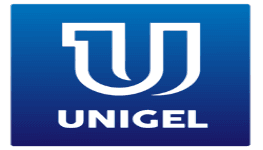 Unigel Group plc